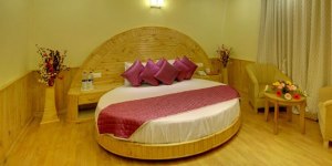 shimla manali honeymoon packages - shimla manali honeymoon package